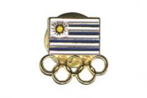 Pin Fundición Pintado